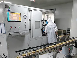 Capacità produttiva